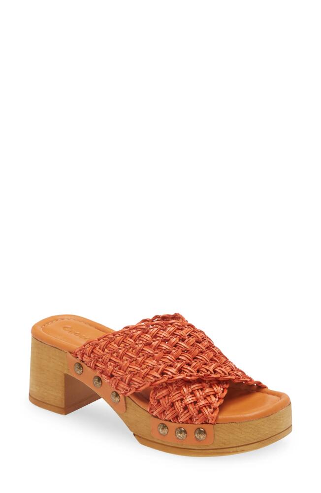 Chocolat Blu Dawn Platform Slide Sandal in Orange Cover