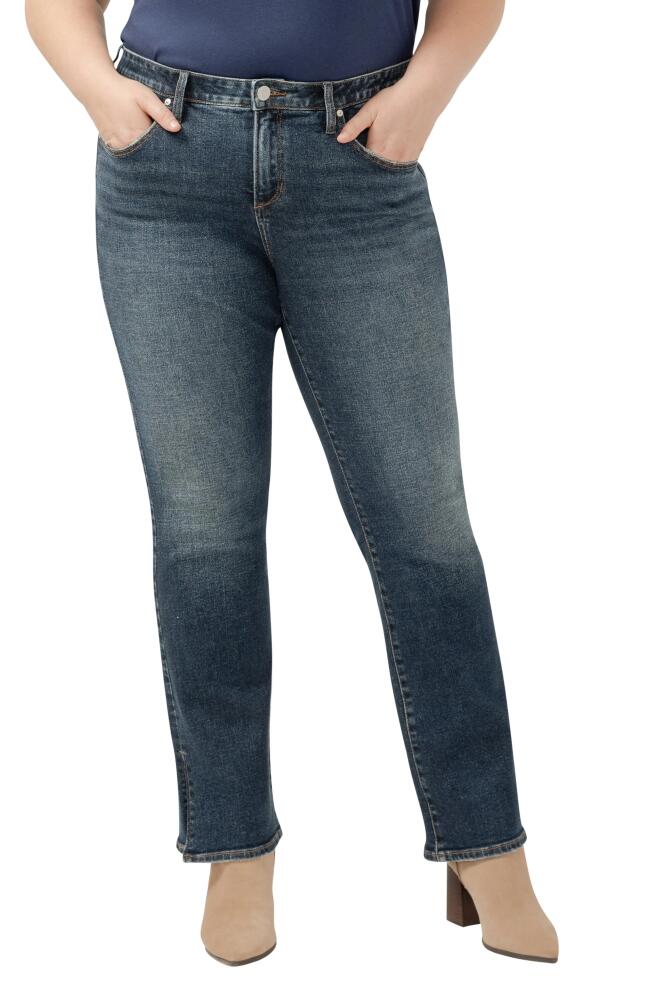 JAG Eloise High Waist Bootcut Jeans in Rosier Blue Cover