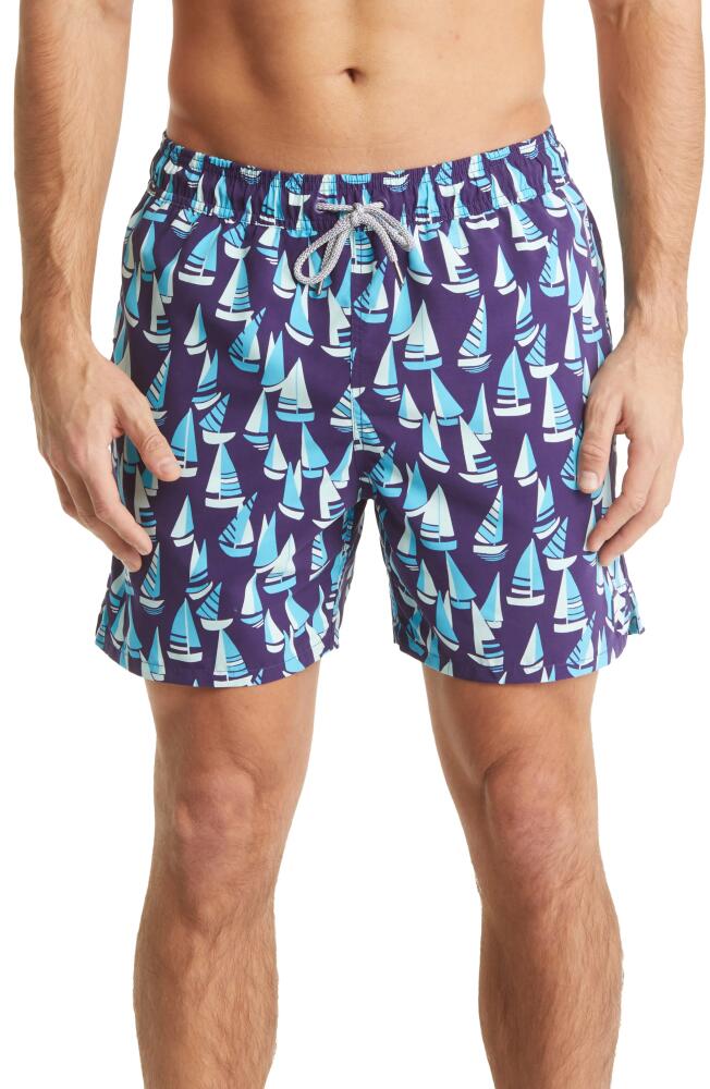 Tom & Teddy Quick Dry Swim Trunks in Mulberry & Blue Cover