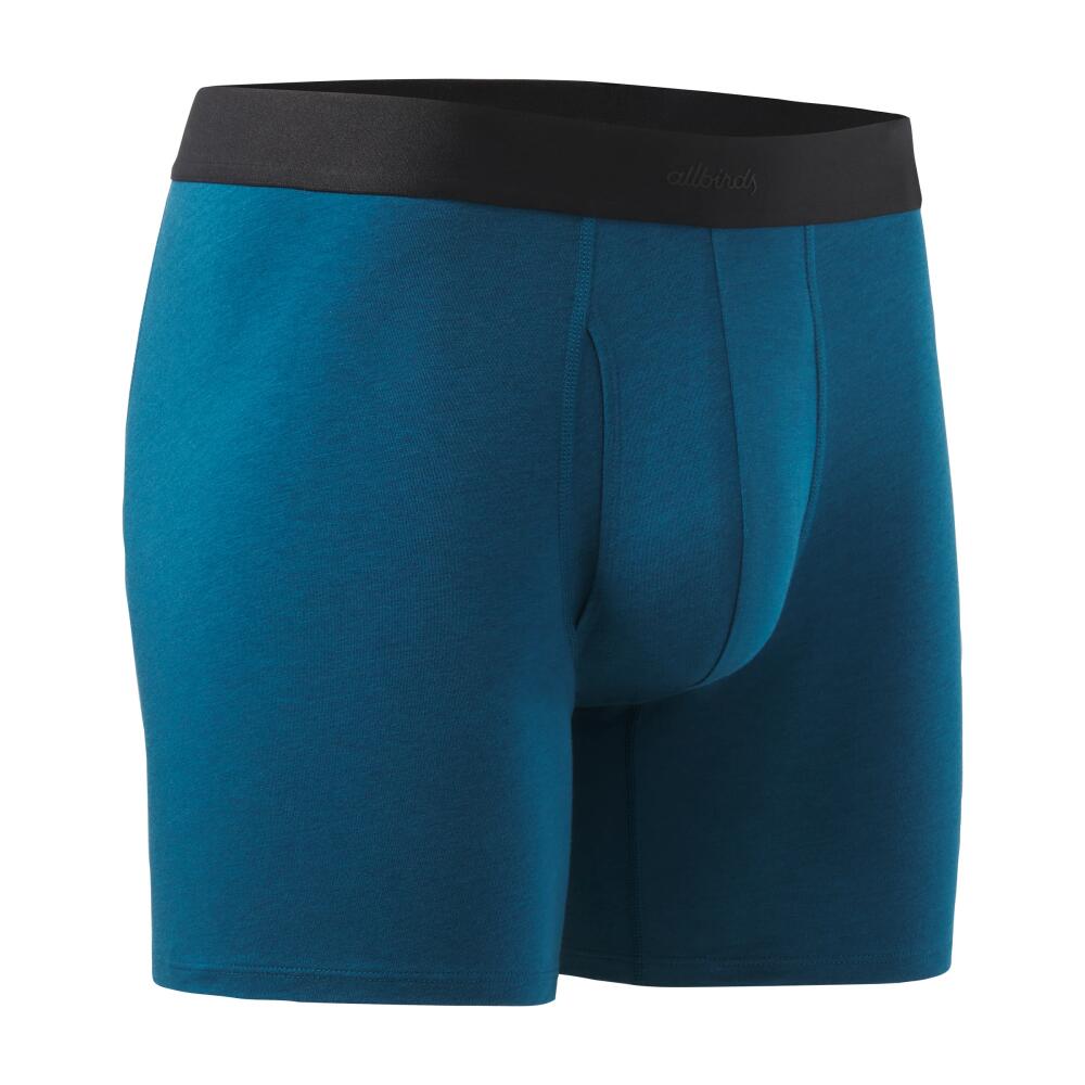 Allbirds Men's Anytime Boxer Brief, Basin Blue Cover