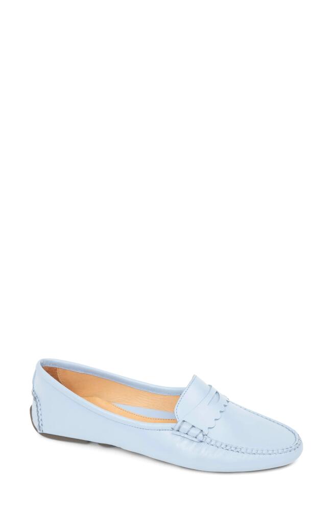 patricia green Janet Scalloped Driving Loafer in French Blue Cover