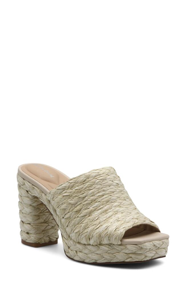 Charles David Prisca Slide Sandal in Natural Cover