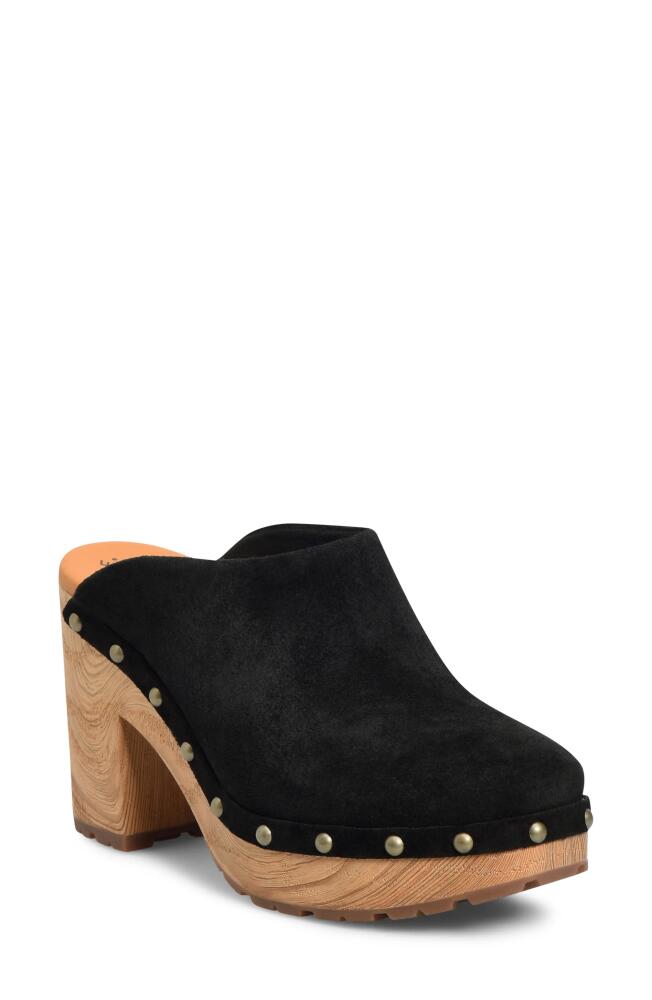 Kork-Ease Sudbury Clog in Black Suede Cover