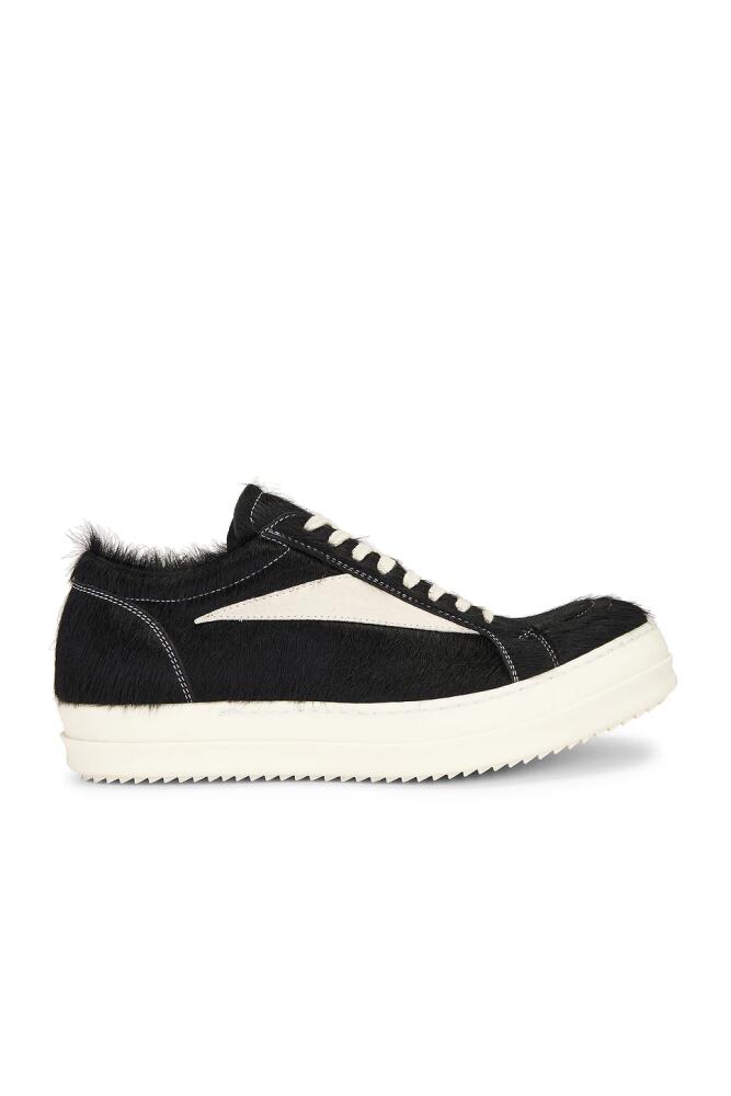 Rick Owens Vintage Sneaker in Black Cover