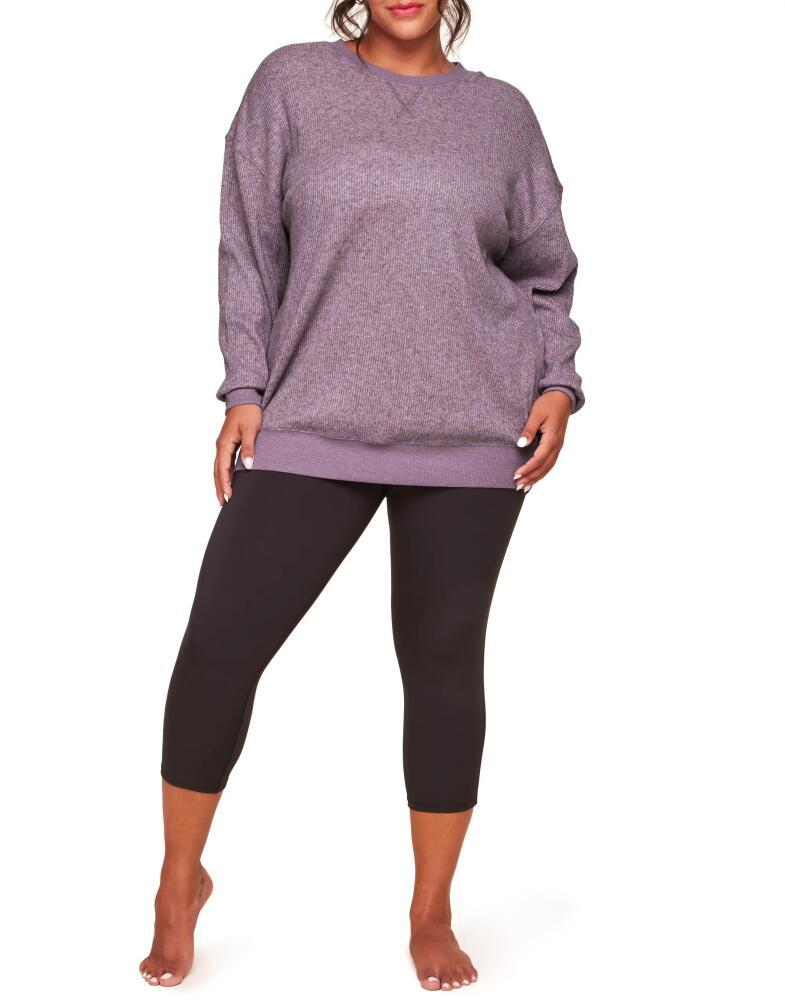 Adore Me Ritza Sweatshirt in Dark Purple Cover