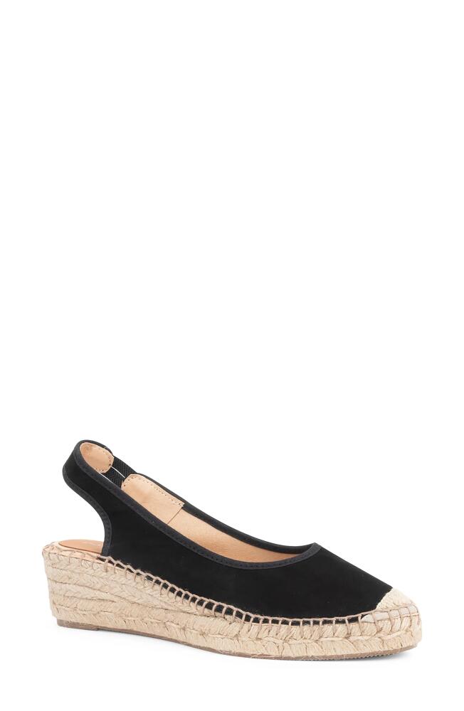 patricia green Valencia Slingback Wedge Espadrille in Black Suede Cover