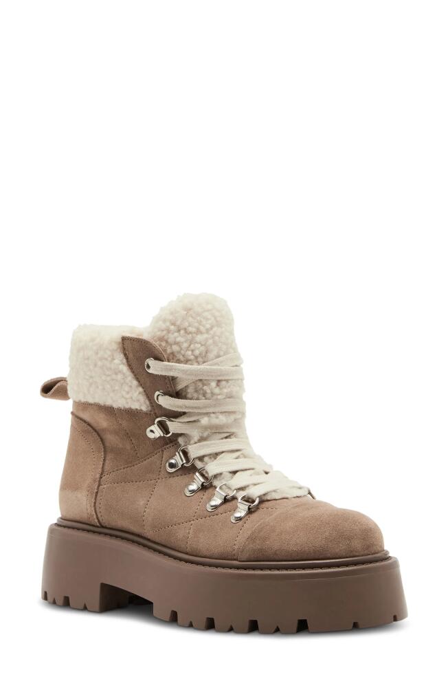 Steve Madden Reyen Platform Boot in Oatmeal Suede Cover