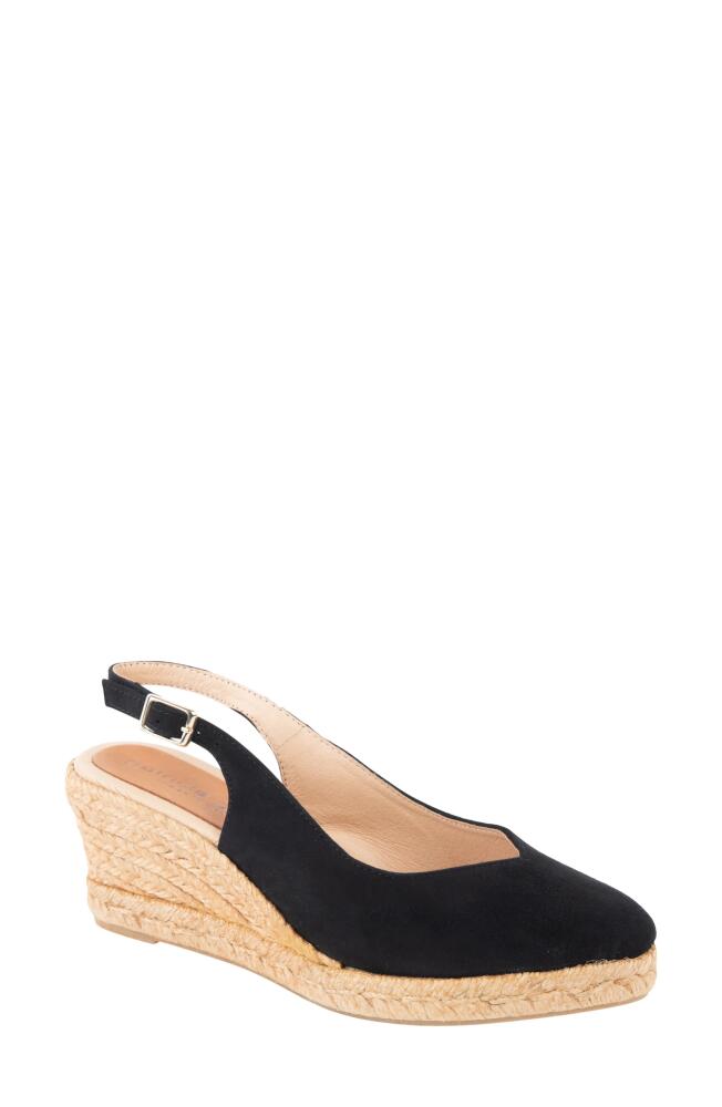 patricia green Poppy Slingback Espadrille Wedge in Black Cover