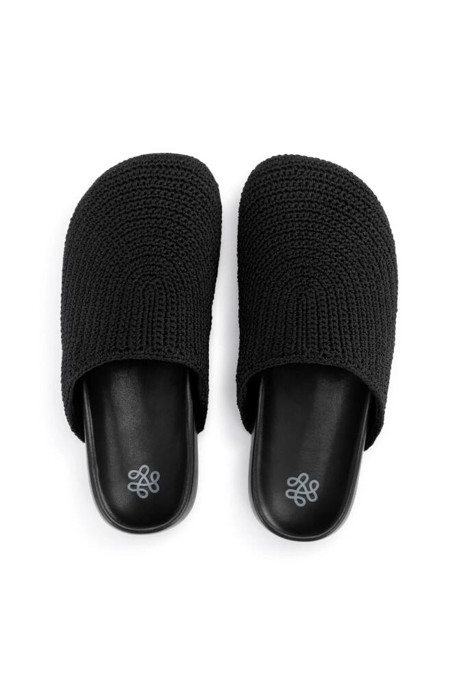 The Sak Bolinas Clog in Black Cover