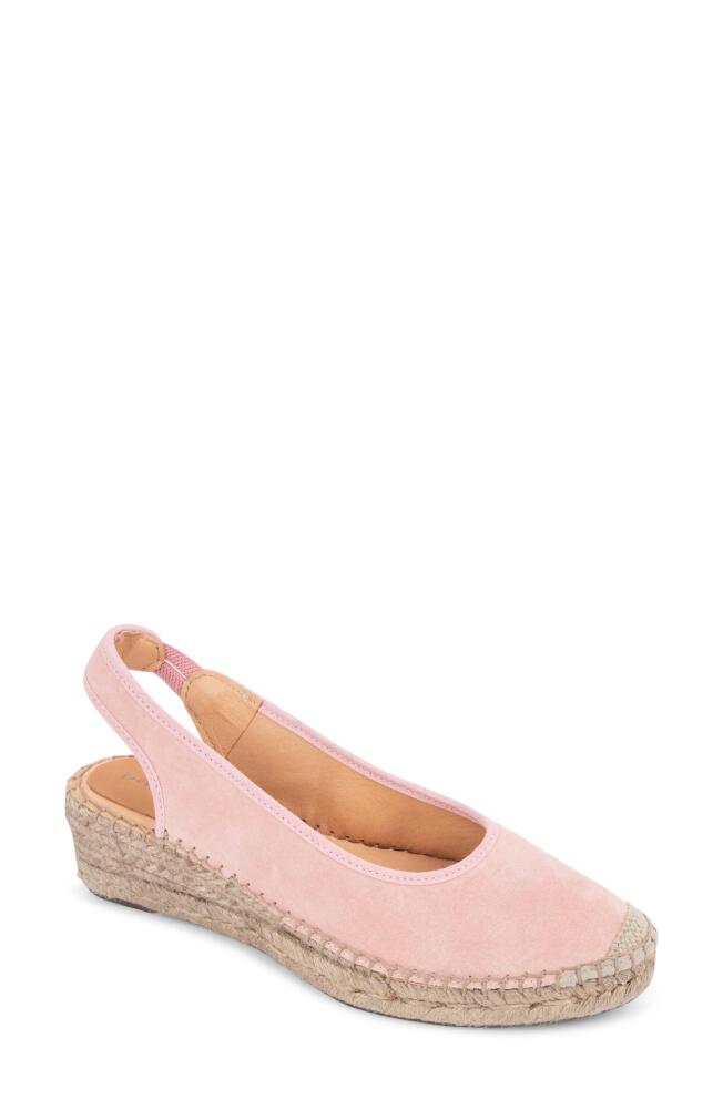 patricia green Valencia Slingback Wedge Espadrille in Blush Pink Cover