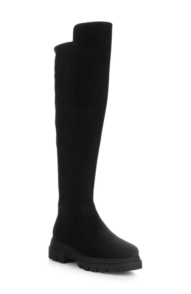 Bos. & Co. Fifth Waterproof Knee High Boot in Black Suede/Suede Stretch Cover