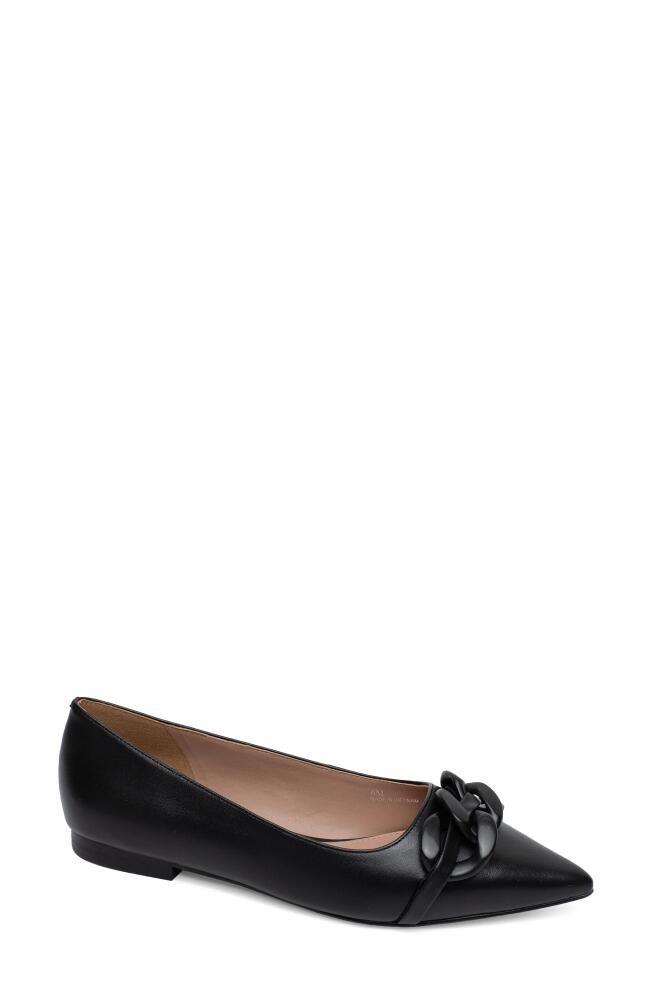 Linea Paolo Nora Pointed Toe Flat in Black Cover