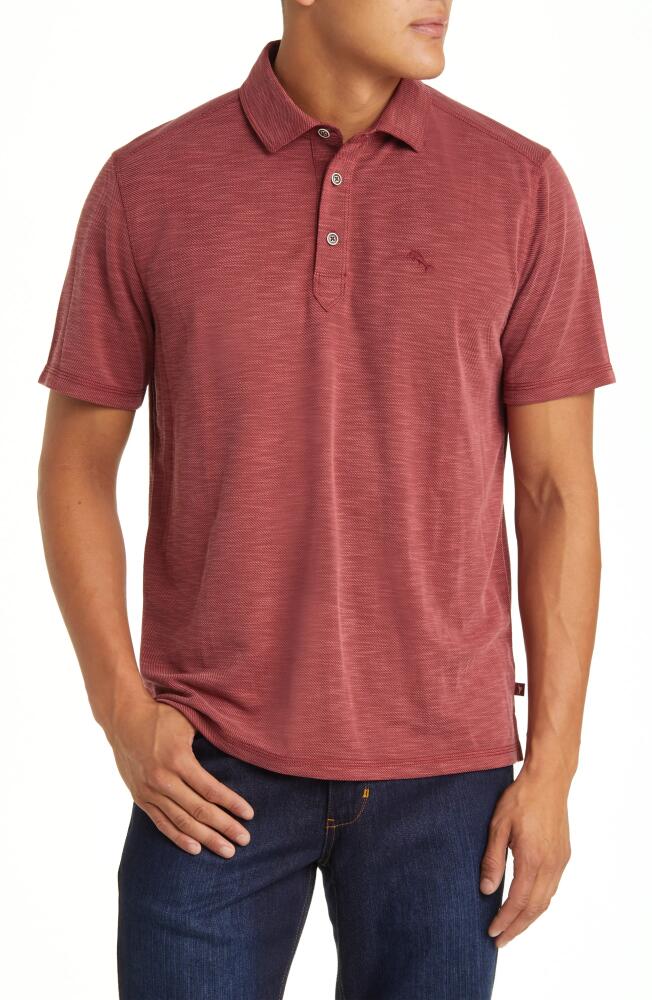 Tommy Bahama Le Cruz Point Polo in Rhumba Cover