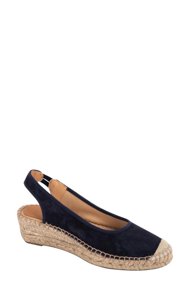 patricia green Valencia Slingback Wedge Espadrille in Navy Cover