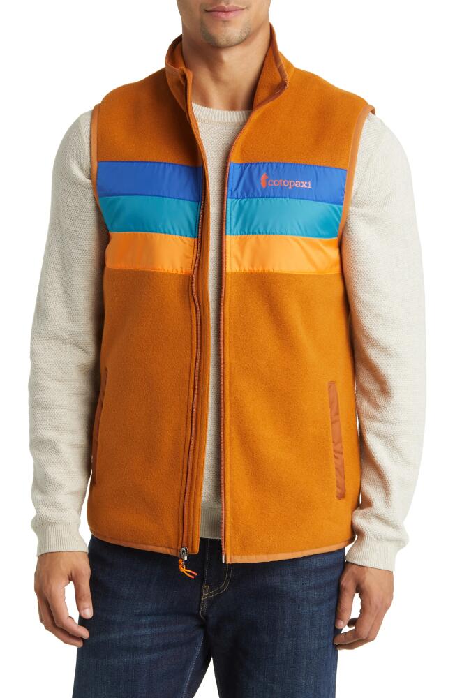 Cotopaxi Teca Fleece Vest in Kings Cake Cover