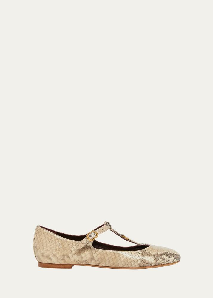 Chloe Marcie Snake-Embossed Mary Jane Ballerina Flats Cover