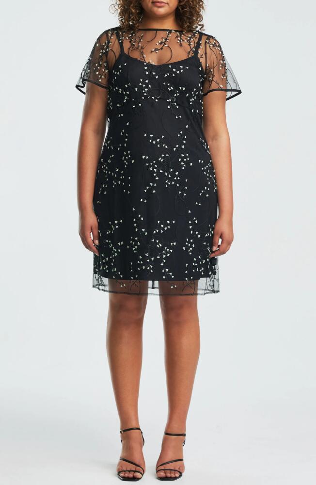 Estelle Floral Embroidered Mesh Cocktail Dress in Black Cover