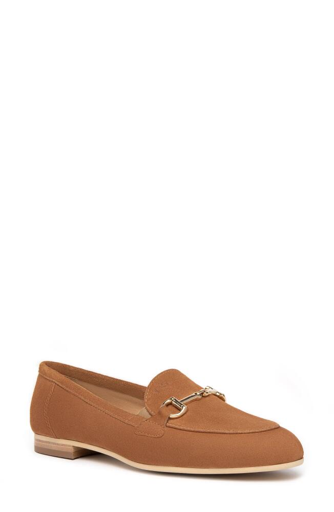 NeroGiardini Almond Toe Bit Loafer in Camel Cover