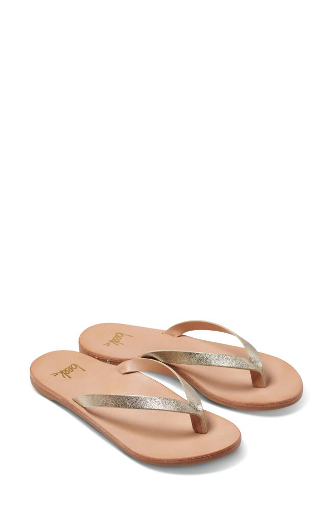 Beek Seabird Flip Flop in Platinum/honey Cover