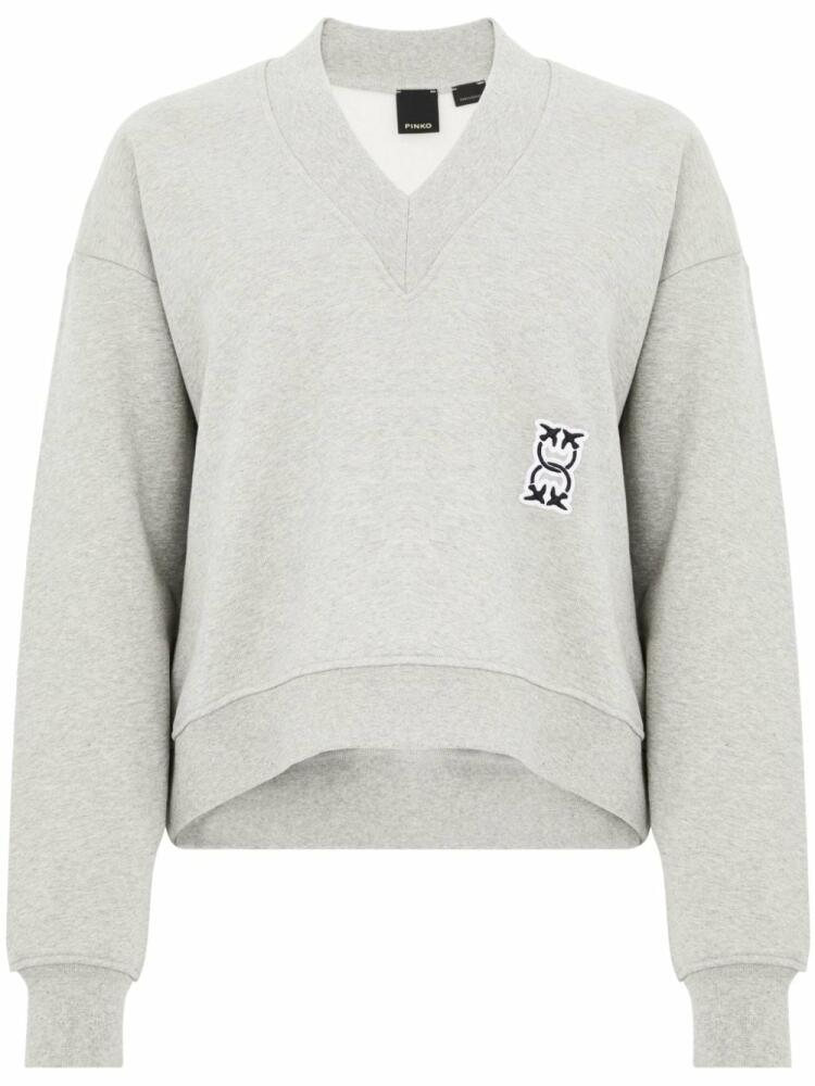 PINKO Magicmike sweatshirt - Grey Cover