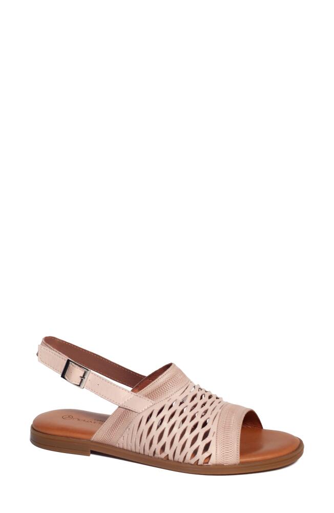 Unity in Diversity Teresa Slingback Sandal in Powder Cover