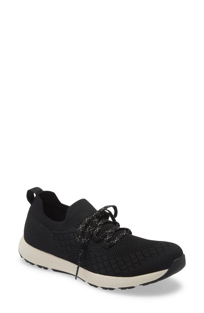 TRAQ by Alegria Froliq Knit Sneaker in Black Leather Cover