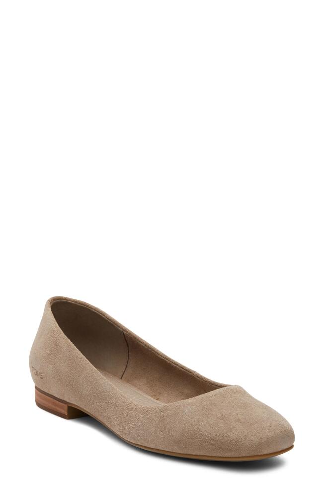 TOMS Briella Ballet Flat in Natural Cover