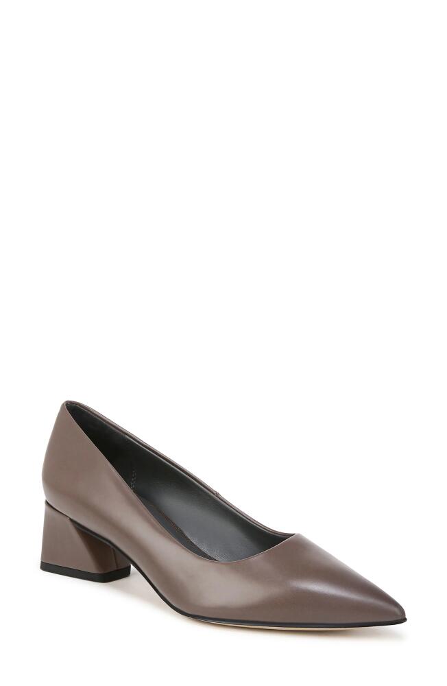 Franco Sarto Racer Pointed Toe Pump in Brown Cover