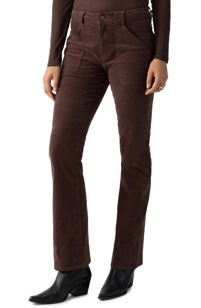 Sanctuary Hayden Bootcut Corduroy Pants in Brown Sugar Cover