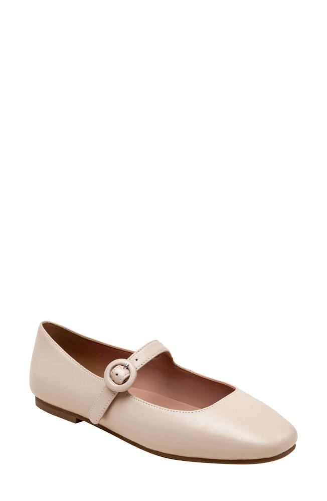 Linea Paolo Marley Mary Jane Flat in Blush Pink Cover