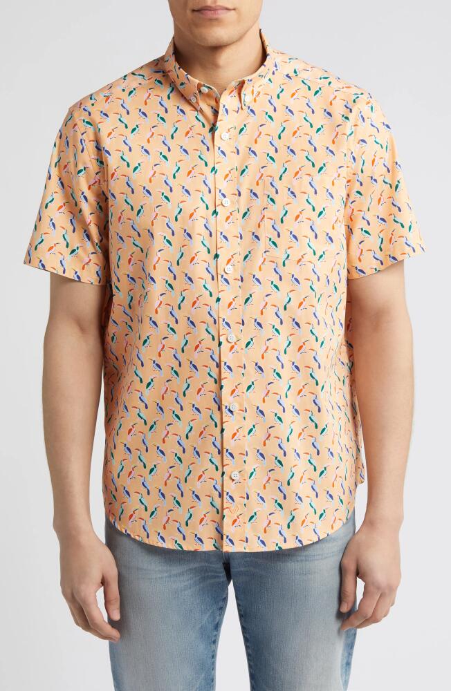 Johnston & Murphy Toucan Print Short Sleeve Cotton Button-Down Shirt in Melon Cover