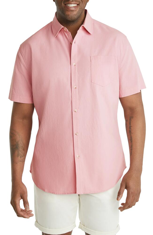 Johnny Bigg Cuba Textured Short Sleeve Button-Up Shirt in Seashell Cover