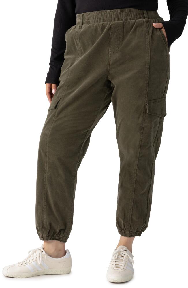 Sanctuary Relaxed Rebel Stretch Cotton Cargo Joggers in Burnt Olive Cover