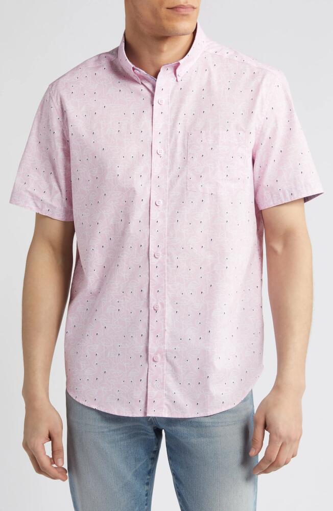 Johnston & Murphy Flamingo Print Short Sleeve Cotton Button-Down Shirt in Pink Cover