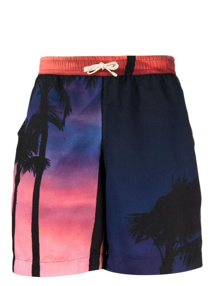 BLUE SKY INN palm-tree print shorts Cover