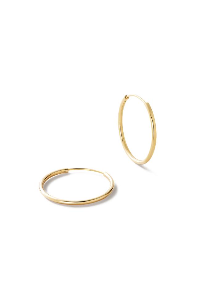 Ana Luisa Gold Slim Hoop Earrings - Medium Cover