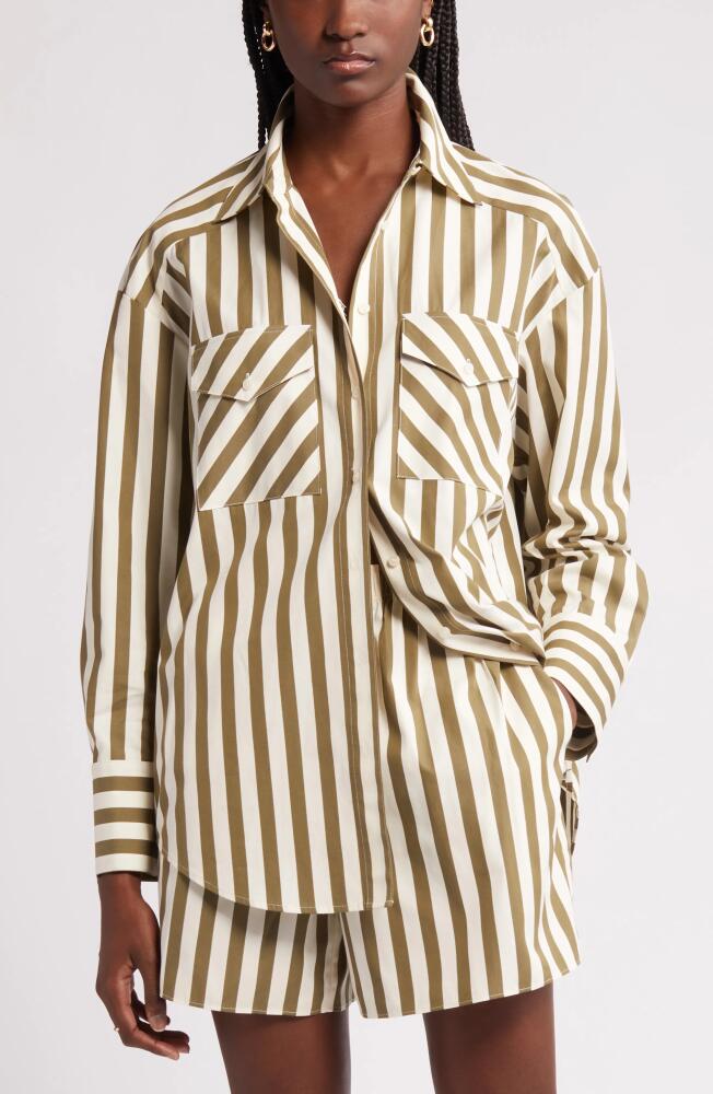 Nordstrom Poplin Button-Up Shirt in Olive Burnt Cabana Stripe Cover