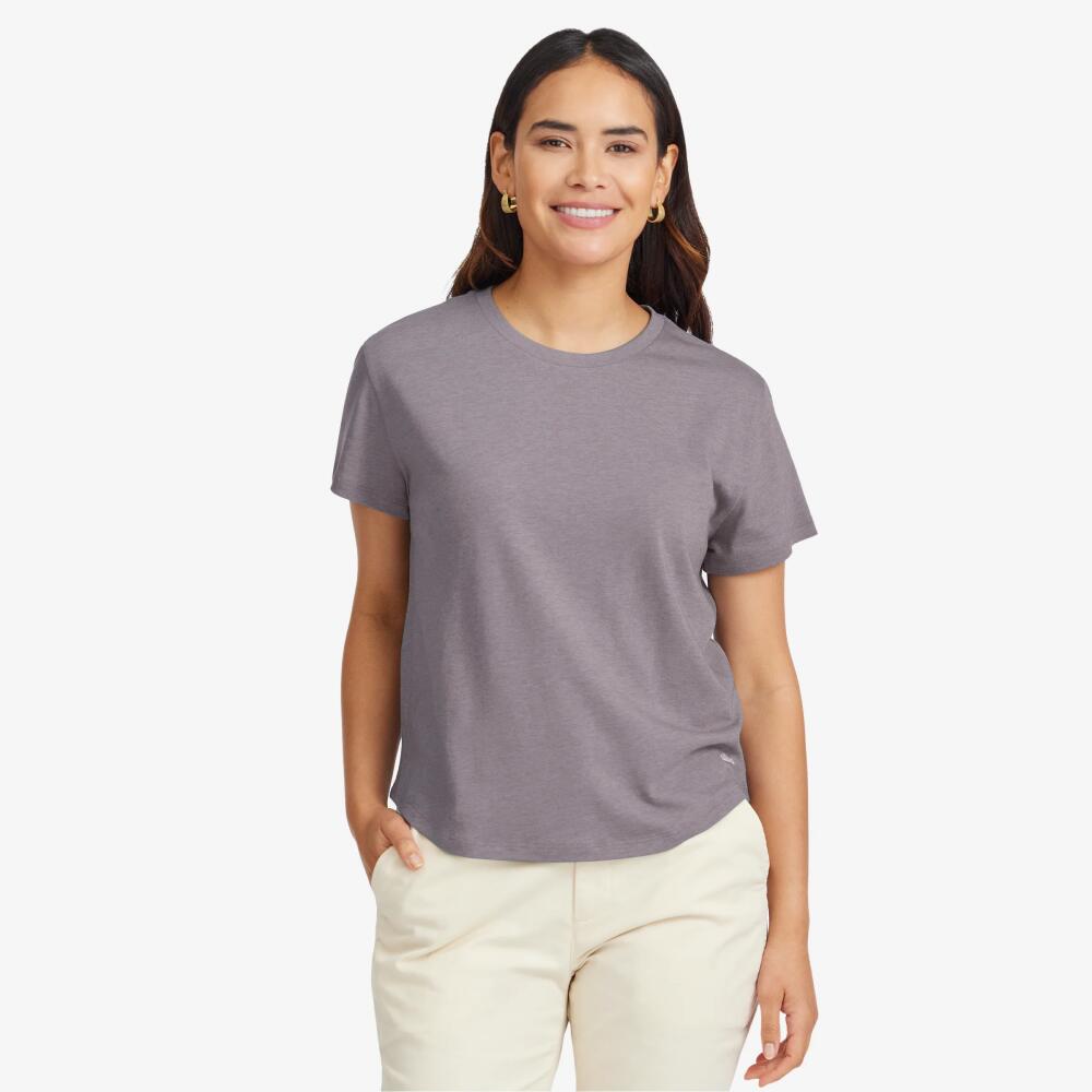 Allbirds Women's Soft Merino Tee, Rugged Purple Cover