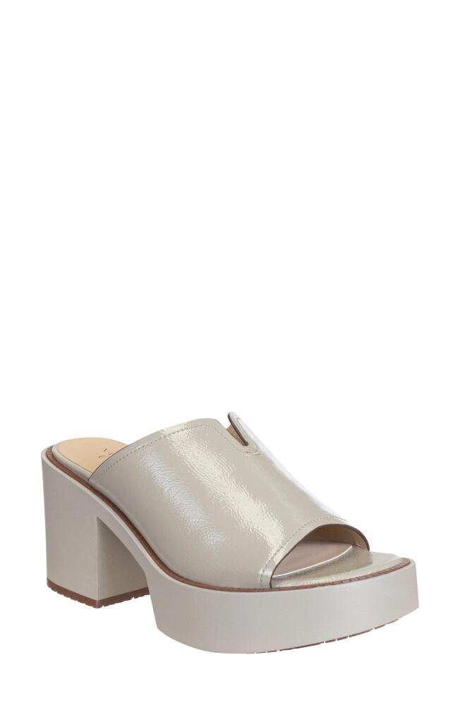 Naked Feet Freja Block Heel Mule in Greige Cover