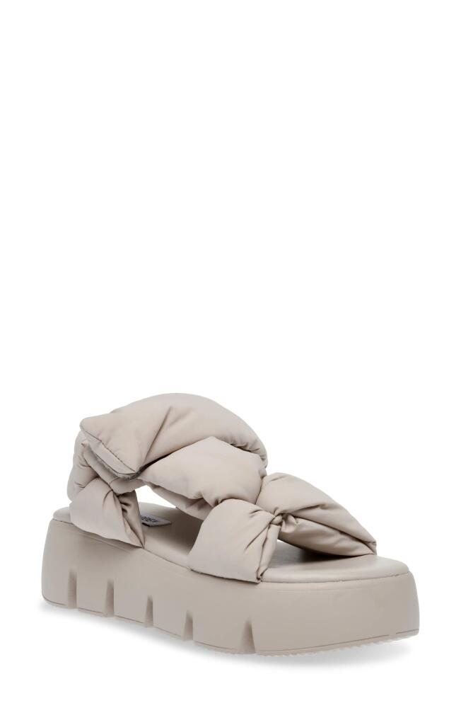 Steve Madden Xandra Slingback Platform Sandal in Taupe Cover