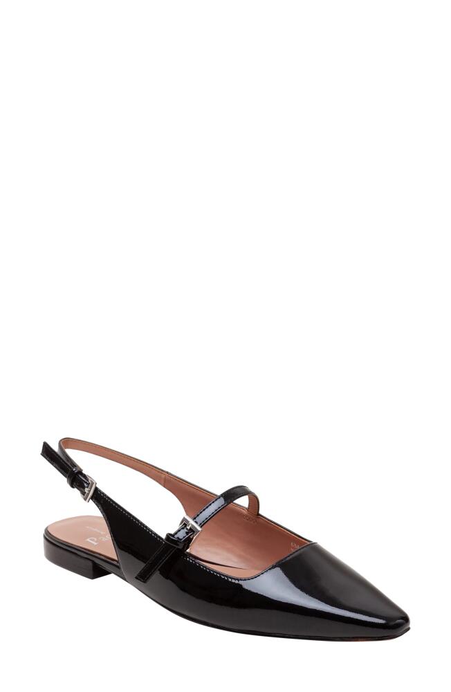 Linea Paolo Celeste Slingback Pointed Toe Flat in Black Cover