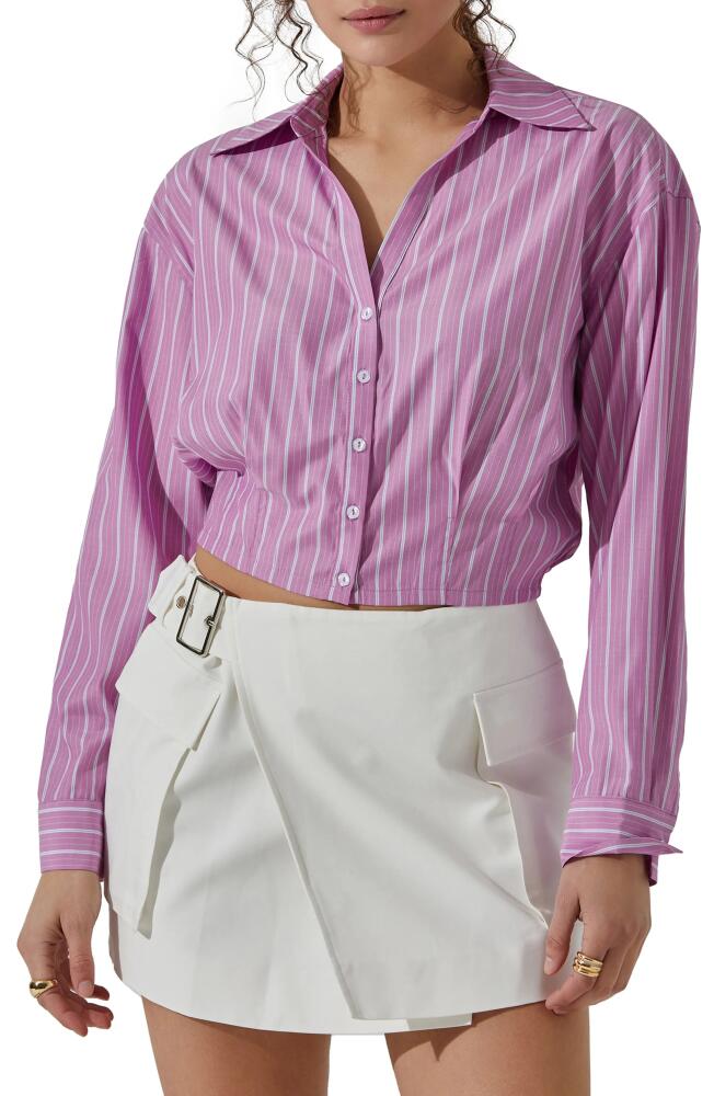 ASTR the Label Pinstripe Cotton Crop Button-Up Shirt in Pink Stripe Cover