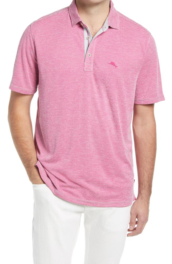 Tommy Bahama Paradiso Cove Short Sleeve Polo in Fuchsia Red Cover