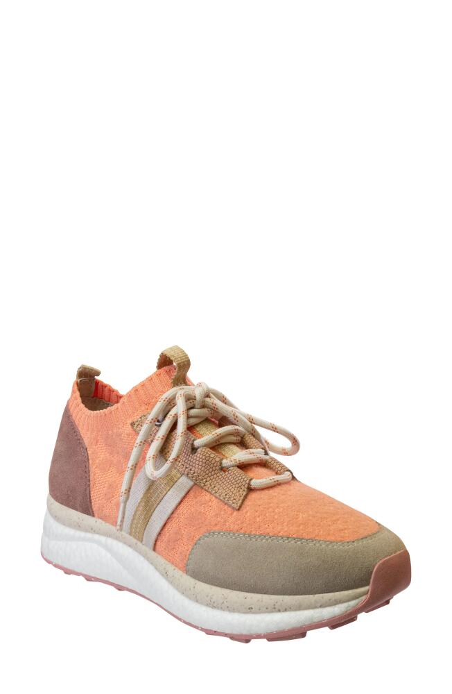 OTBT Speed Wedge Sneaker in Rosette Cover