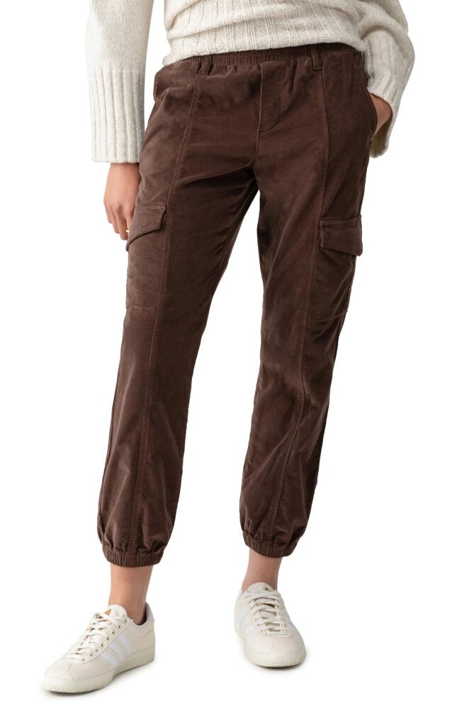 Sanctuary Relaxed Rebel Cargo Joggers in Brown Sugar Cover