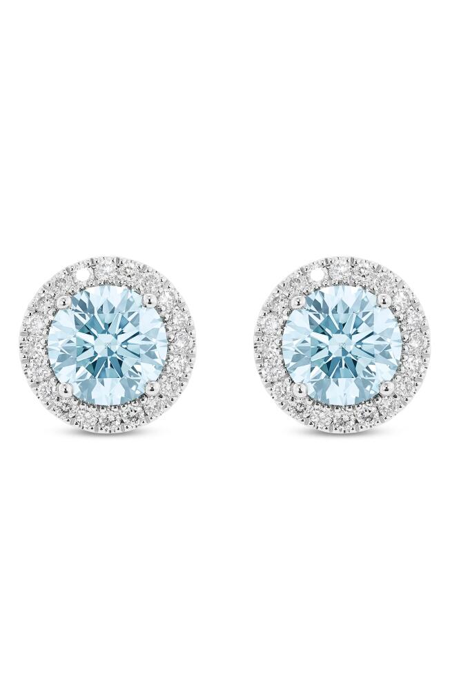 LIGHTBOX 2-Carat Lab Grown Diamond Halo Stud Earrings in Blue/14K White Gold Cover