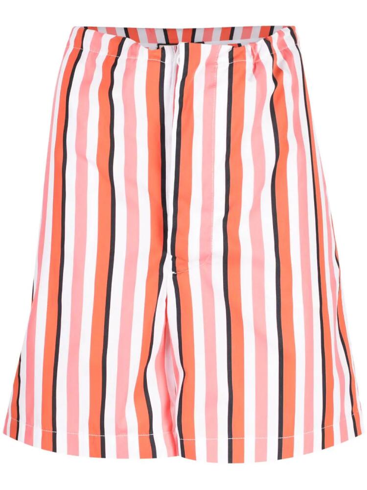 Plan C striped drawstring cotton bermuda shorts - Pink Cover