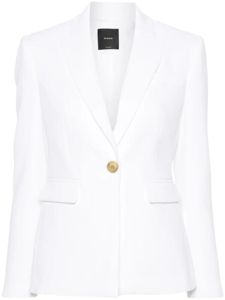 PINKO single-breasted crepe blazer - Neutrals Cover