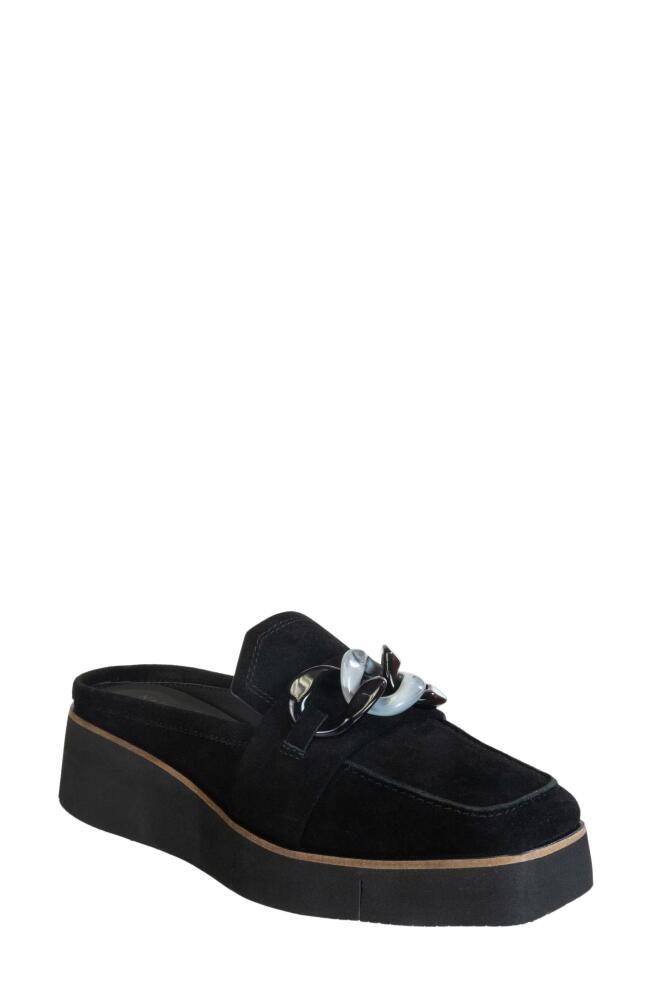 Naked Feet Elect Platform Loafer Mule in Black Suede Cover