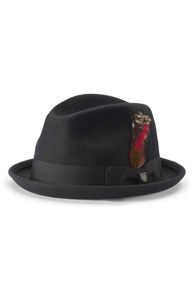 Brixton Gain Wool Fedora in Black Cover